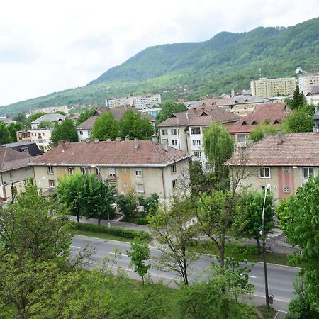 Apartament Hospital View Independentei Rhbm 巴亚马雷 外观 照片