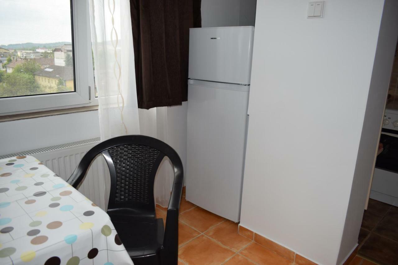 Apartament Hospital View Independentei Rhbm 巴亚马雷 外观 照片